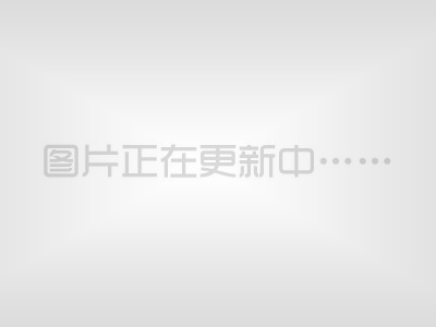 德國：羊肚菌產品需求量持續增長