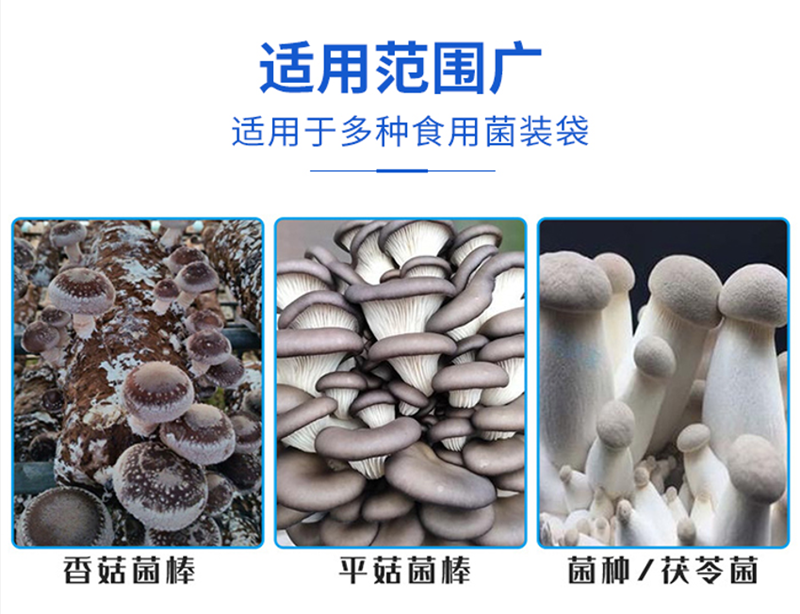 /202402/1706756321_1c71c88458a8bf04fda4.png